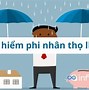 Bảo Hiểm Công Ty Là Bảo Hiểm Gì