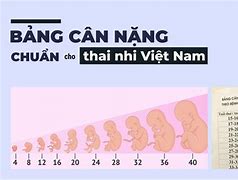 Chỉ Số Cân Nặng Thai Nhi 36 Tuần