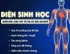 Điện Sinh Học Để Làm Gì