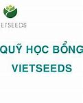 Học Bổng Vietseeds 2021 Là Gì Wikipedia English Là Gì