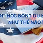 Làm Thế Nào Để Nhận Được Học Bổng Đi Du Học Mỹ