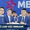 Ngân Hàng Quân Đội Làm Việc Từ Mấy Giờ Đến Mấy Giờ