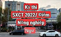 Xklđ Hàn Quốc Năm 2022 Ở Hà Nội Không Qua Trung Gian Được Không